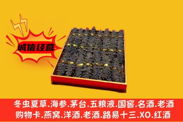 七台河茄子河区回收海参